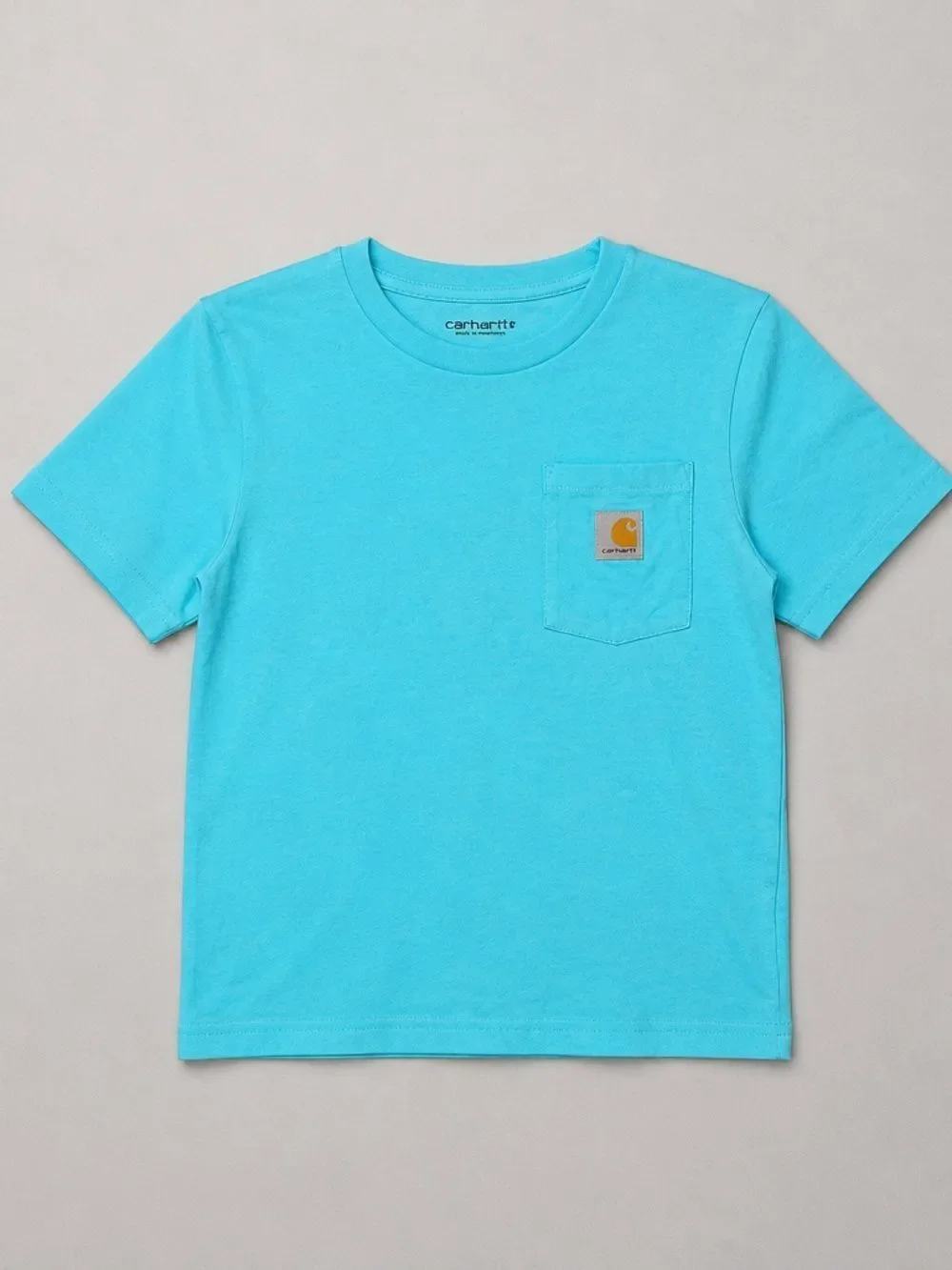 Carhartt blue pocket t-shirt with camping graphic on back